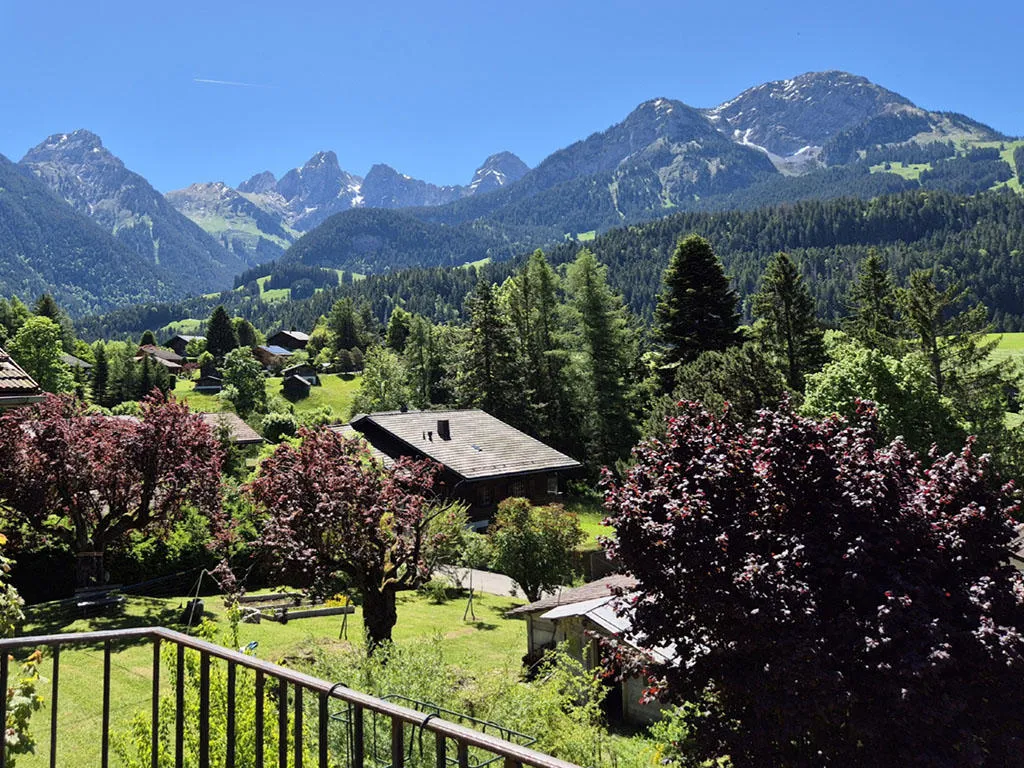 Château-d'Oex for sale Apartment Switzerland - cChic-immoHub your real estate portal