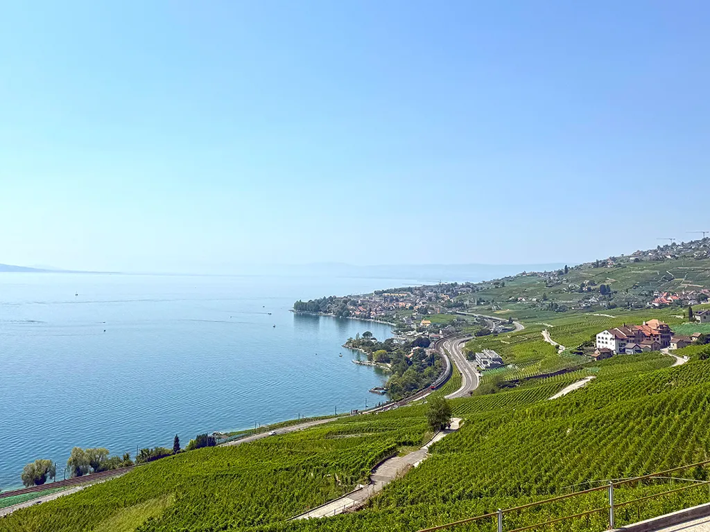 Rivaz for sale Apartment Switzerland - cChic-immoHub your real estate portal