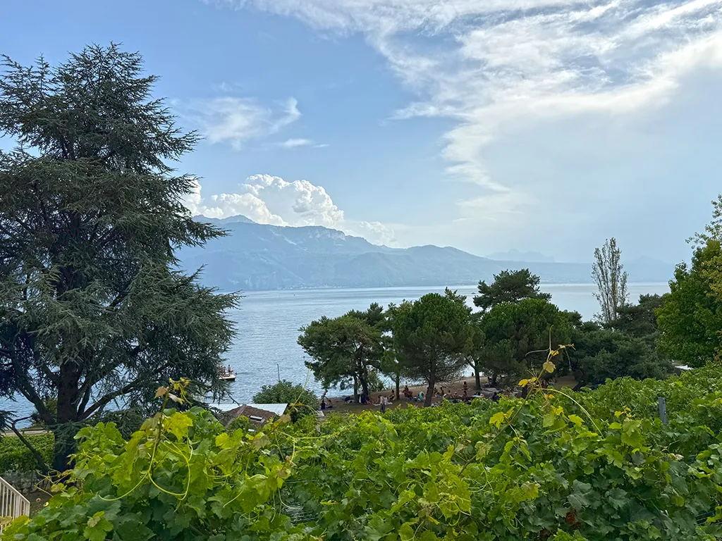 Rivaz for sale Apartment Switzerland - cChic-immoHub your real estate portal