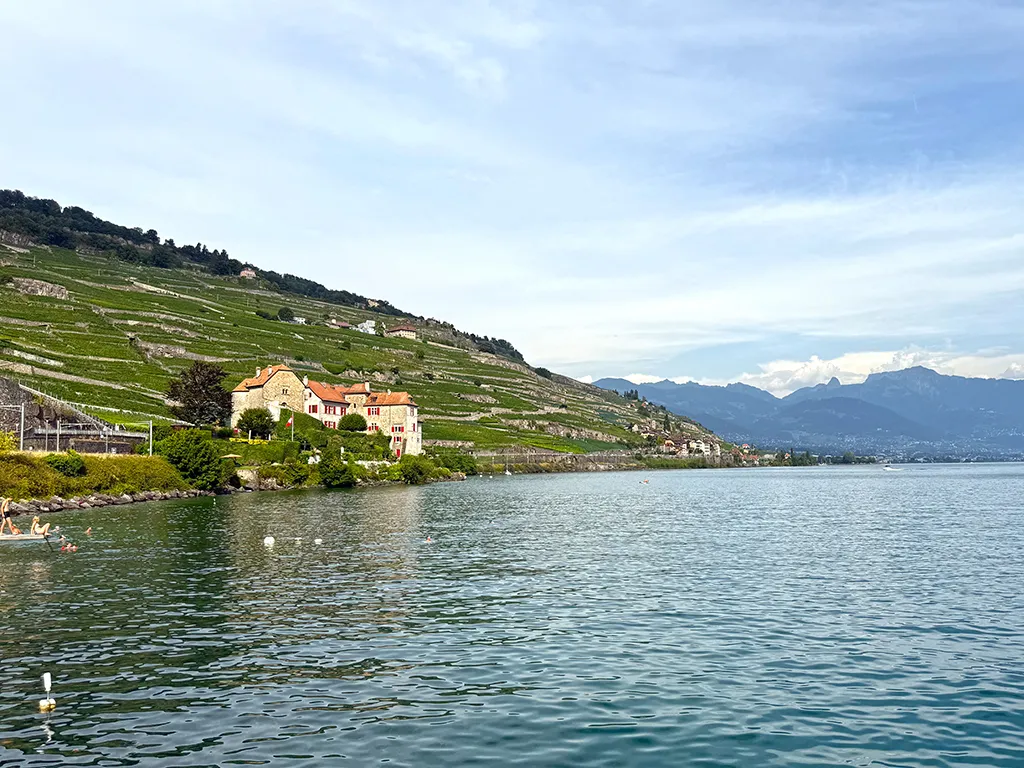 Rivaz for sale Apartment Switzerland - cChic-immoHub your real estate portal