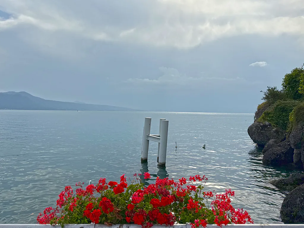 Rivaz for sale Apartment Switzerland - cChic-immoHub your real estate portal