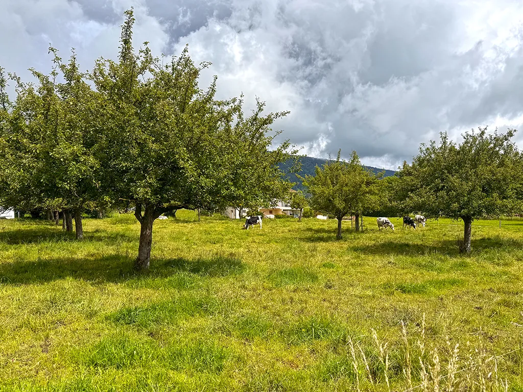 Bière for sale Village house Switzerland - cChic-immoHub your real estate portal