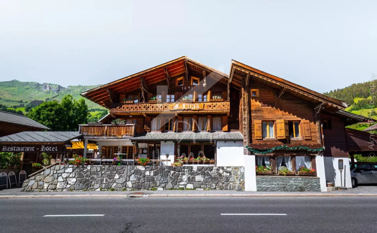 Les Diablerets for sale Gastronomy Switzerland - cChic-immoHub your real estate portal