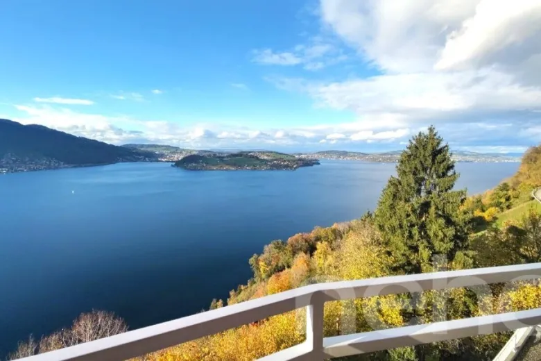 For sale Apartment Bürgenstock Switzerland - cChic-immoHub your real estate portal