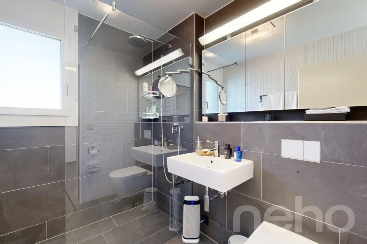 Hünenberg See for sale Duplex Switzerland - cChic-immoHub your real estate portal