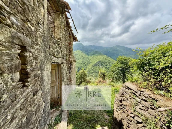 Casa in vendita a Pieve di teco (4)