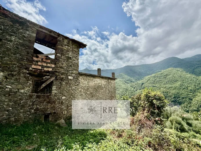 Haus zu verkaufen in Pieve di teco - Smart Propylaia (5)