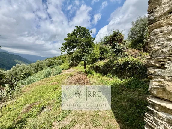 Casa in vendita a Pieve di teco (6)