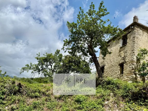 Casa in vendita a Pieve di teco (7)