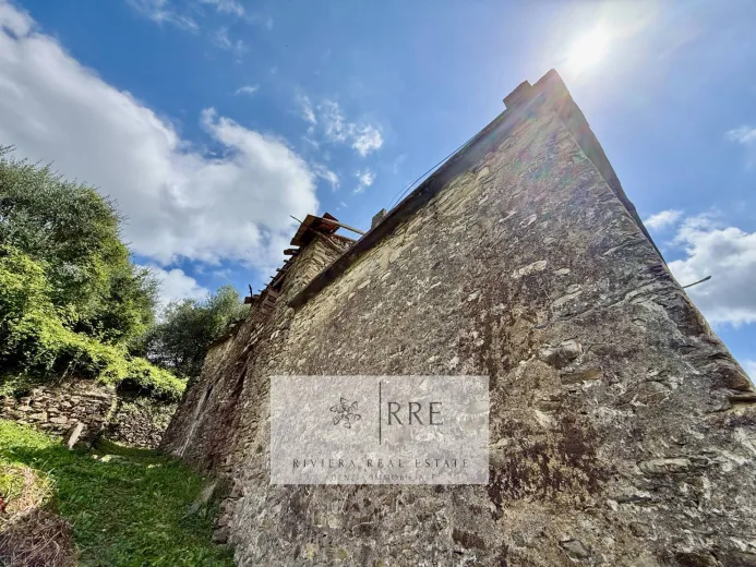 Haus zu verkaufen in Pieve di teco - Smart Propylaia (11)