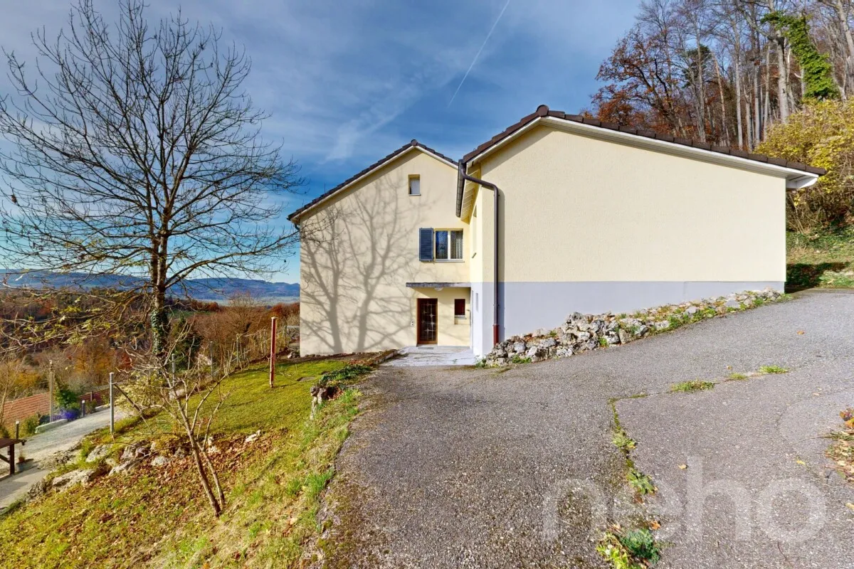Himmelried for sale Single house Switzerland - cChic-immoHub your real estate portal