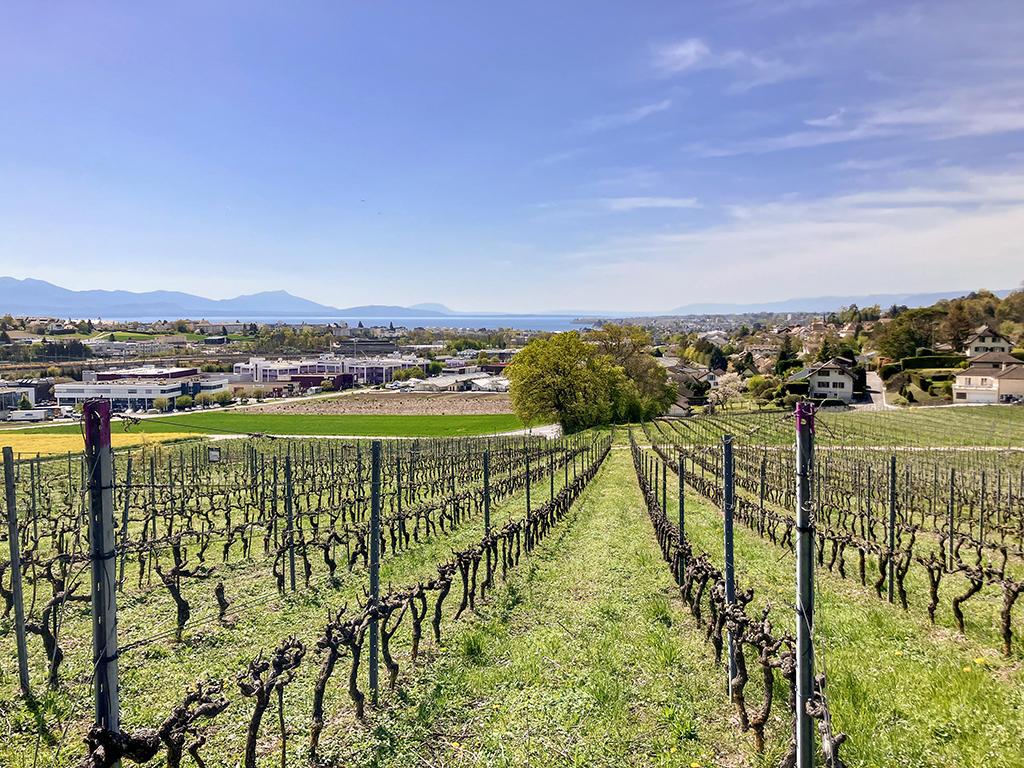 A vendre   Suisse - partenariat avec Smart-Propylaia Portail Immobilier