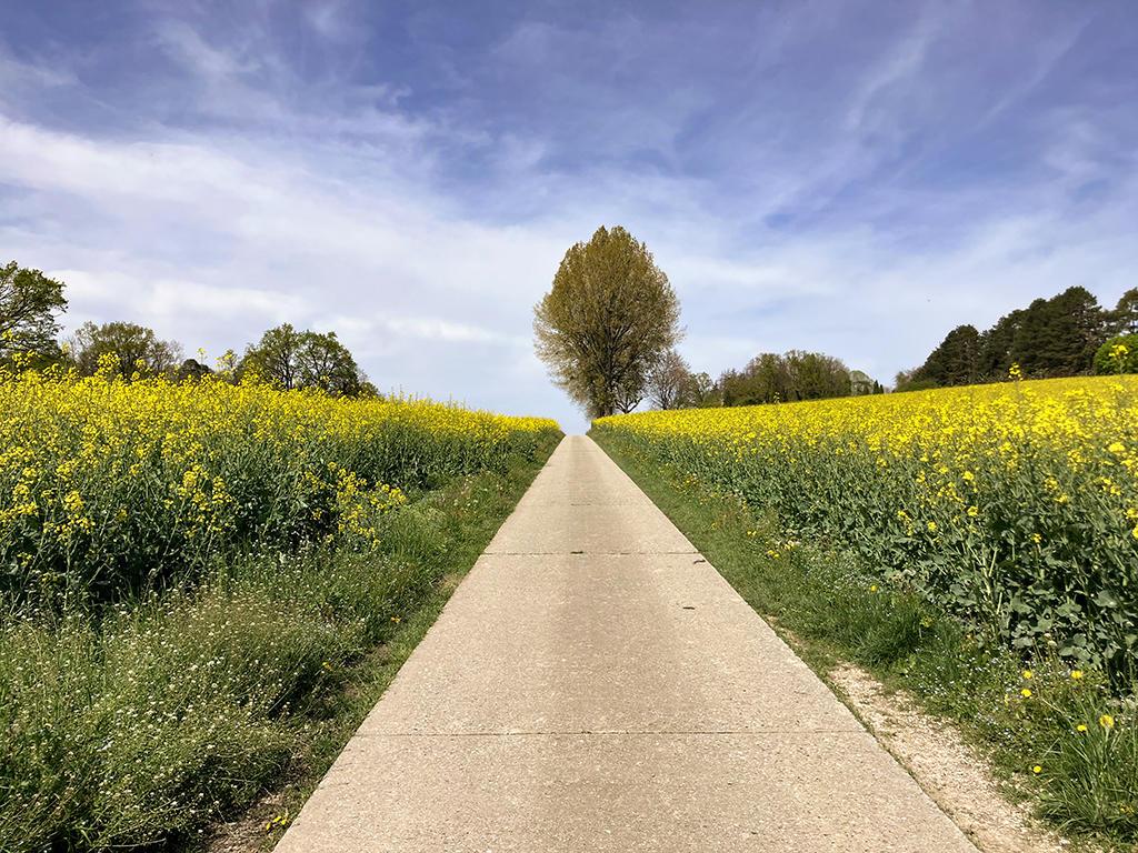 A vendre   Suisse - partenariat avec Smart-Propylaia Portail Immobilier