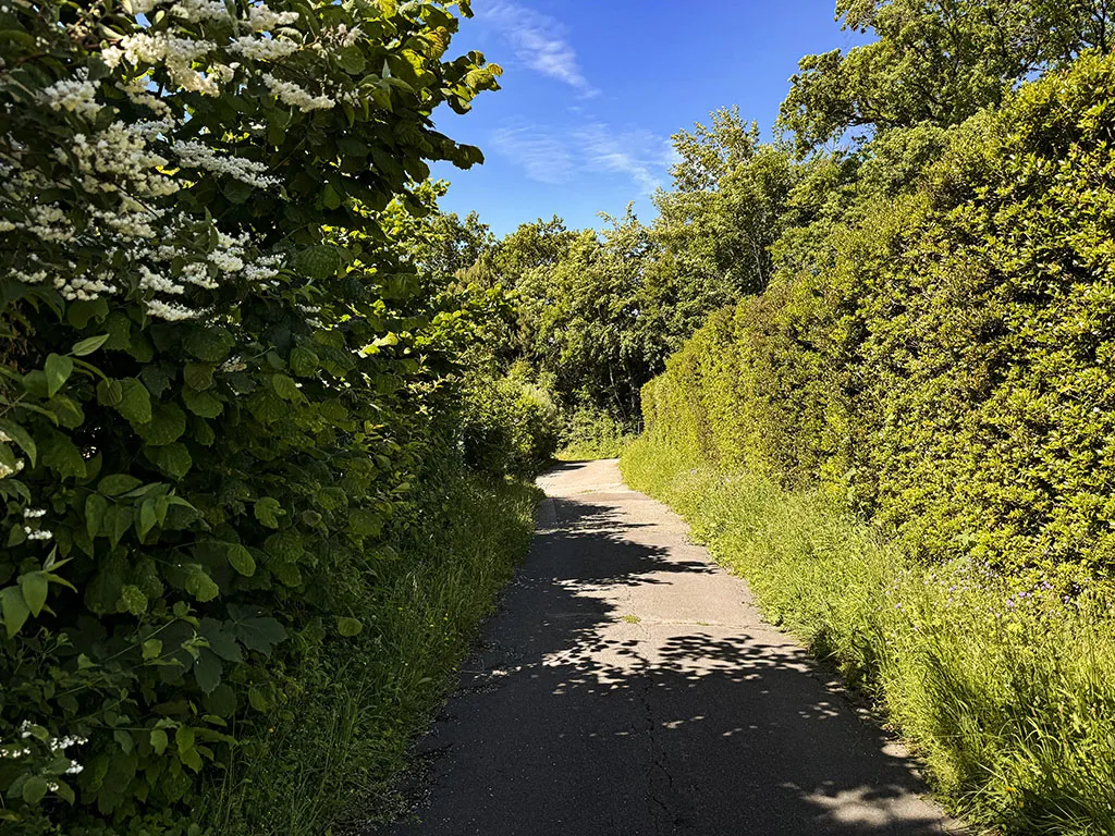 Bougy-Villars for sale Twin house Switzerland - cChic-immoHub your real estate portal