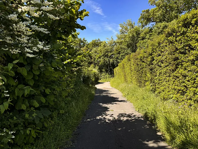 For sale Twin house Bougy-Villars Switzerland - cChic-immoHub your real estate portal