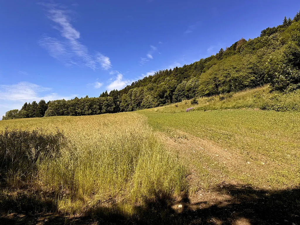 Bougy-Villars for sale Twin house Switzerland - cChic-immoHub your real estate portal