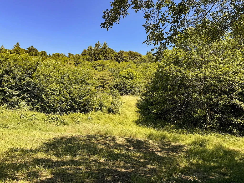 Bougy-Villars for sale Twin house Switzerland - cChic-immoHub your real estate portal