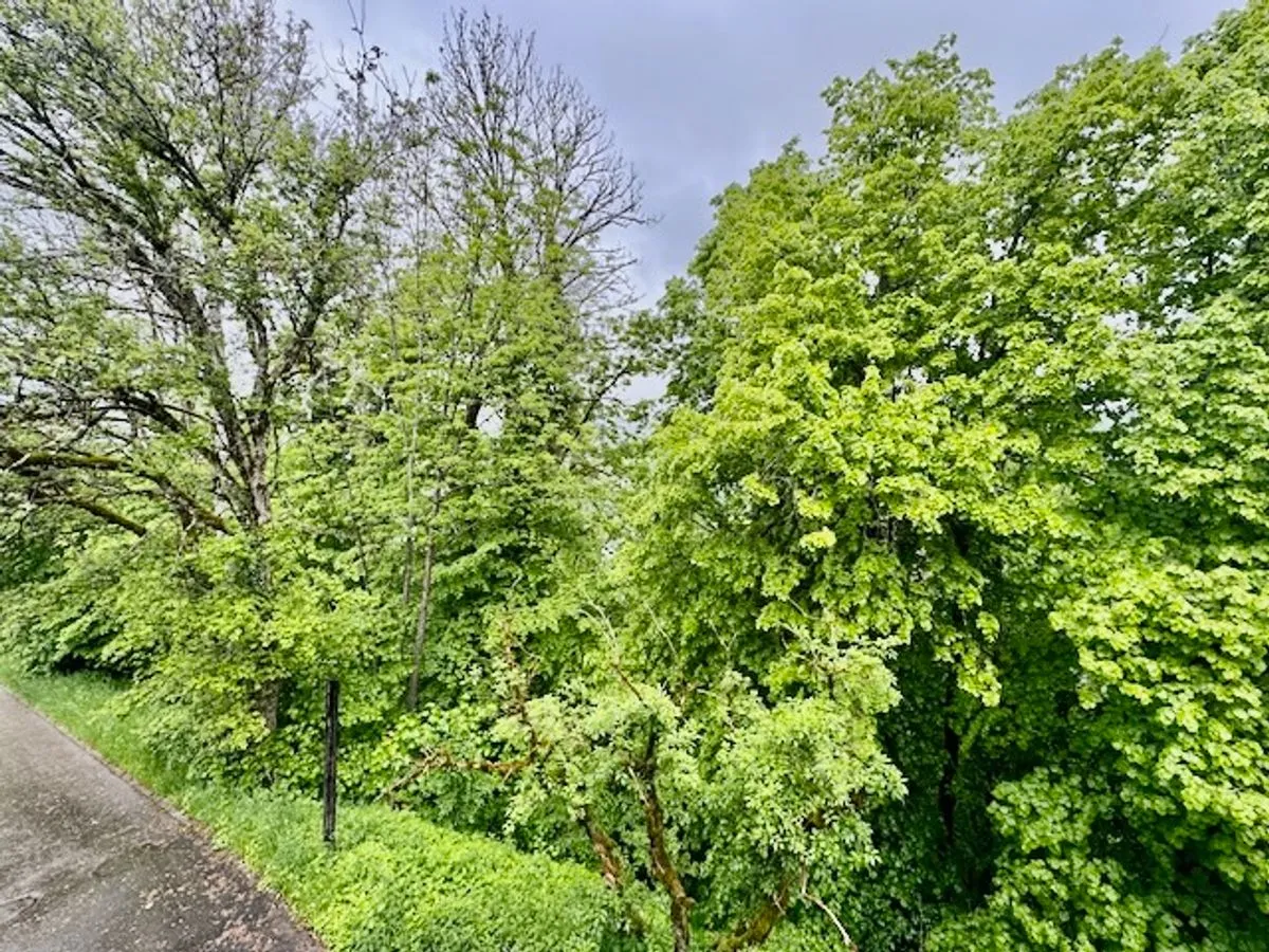 Les Brenets zu verkaufen Einfamilienhaus Schweiz - cChic-immoHub Ihr Immobilienportal