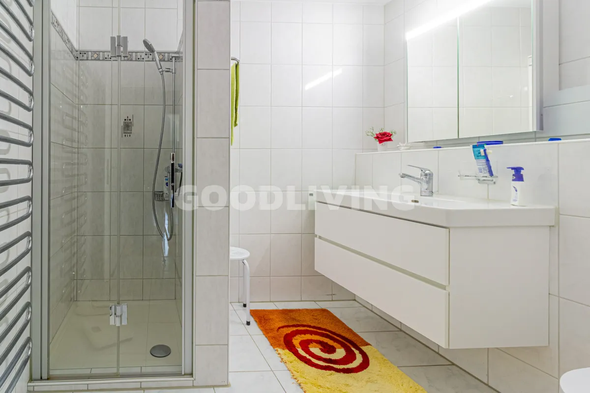 Schaffhausen for sale Apartment Switzerland - cChic-immoHub your real estate portal