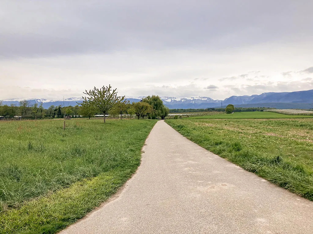 Mies for sale Twin house Switzerland - cChic-immoHub your real estate portal