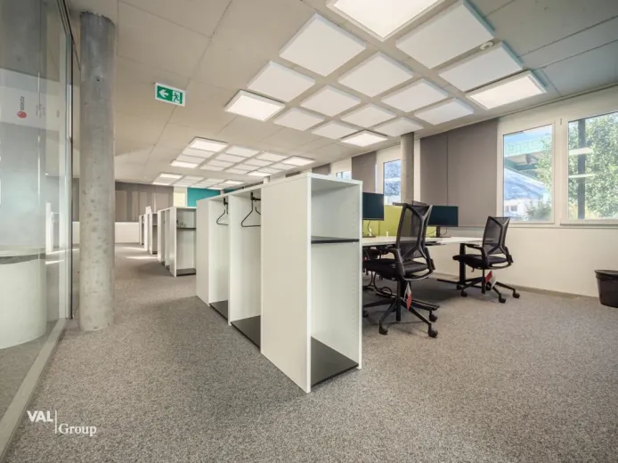 Commerce/industrie à louer à Visp - Commerce à louer à Visp - Smart Propylaia (15)