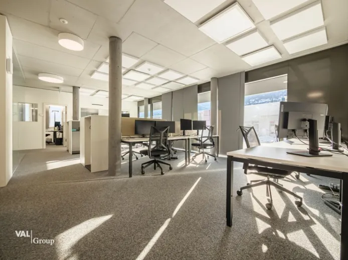 Commerce/industrie à louer à Visp - Smart Propylaia (19)