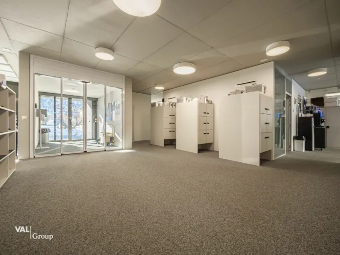 Commerce/industrie à louer à Visp - Smart Propylaia (20)