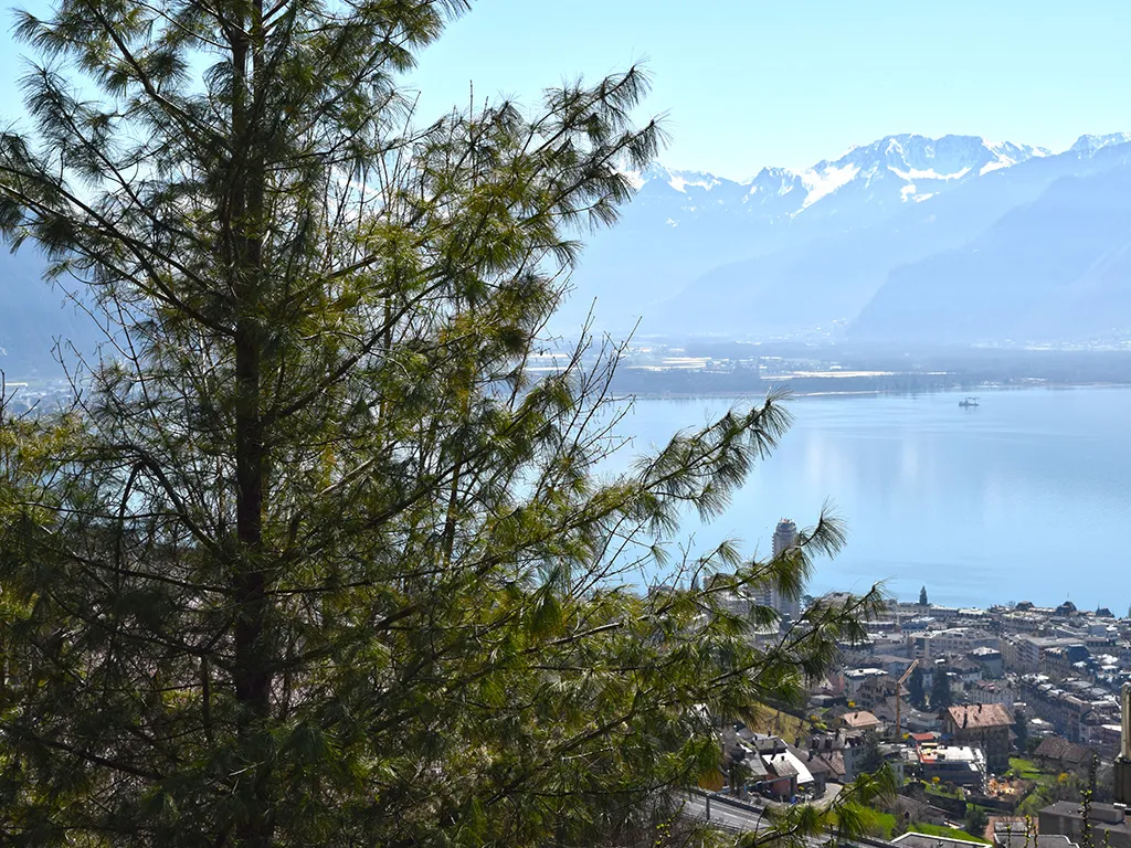 Montreux for sale Villa Switzerland - cChic-immoHub your real estate portal