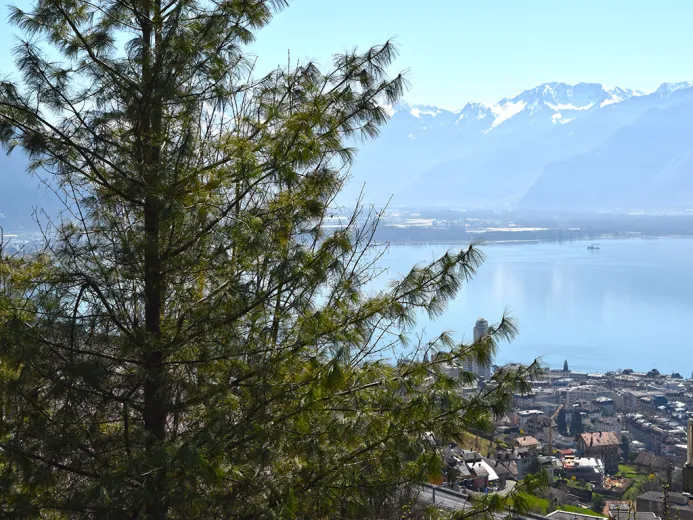 For sale Villa Montreux Switzerland - cChic-immoHub your real estate portal