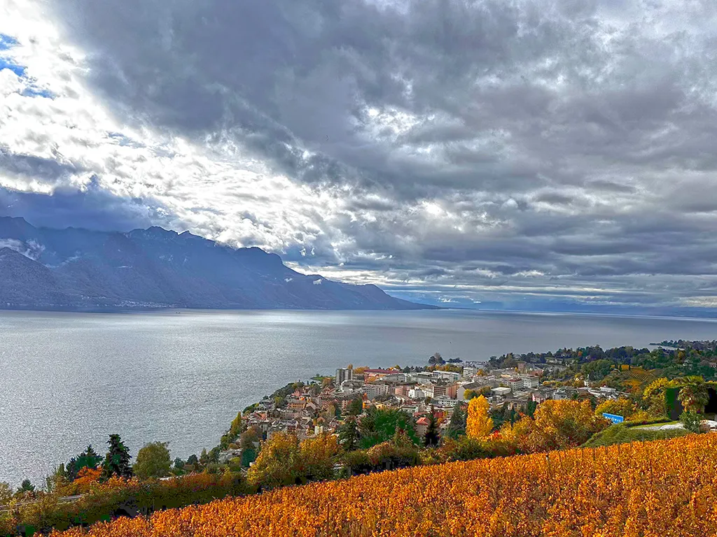 Montreux for sale Villa Switzerland - cChic-immoHub your real estate portal