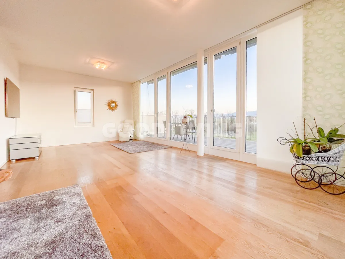 Biel-Benken BL for sale Attic flat Switzerland - cChic-immoHub your real estate portal