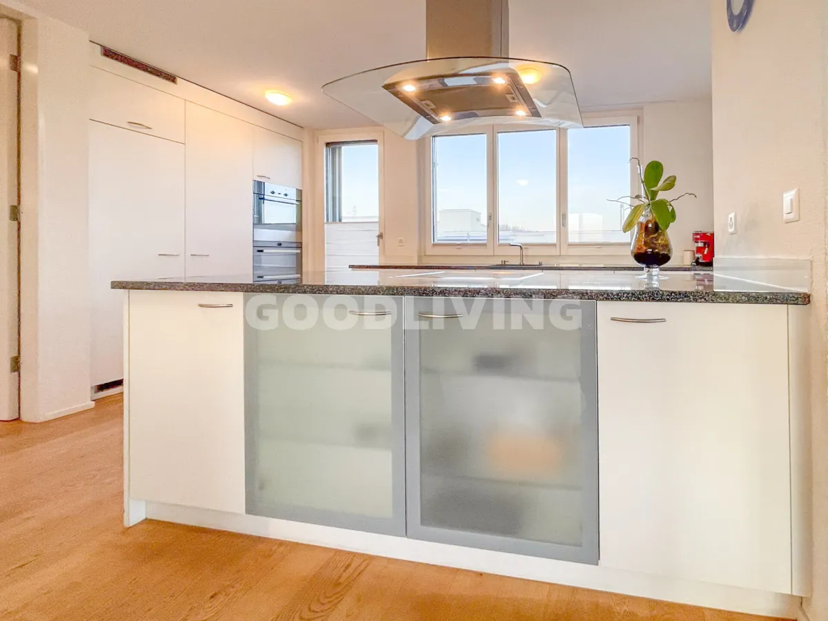 Biel-Benken BL for sale Attic flat Switzerland - cChic-immoHub your real estate portal