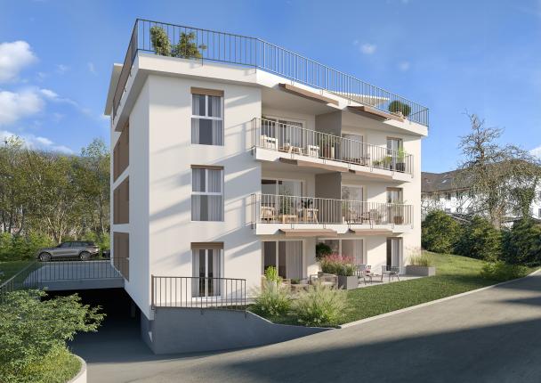 Apartment for sale in Rupperswil (4)