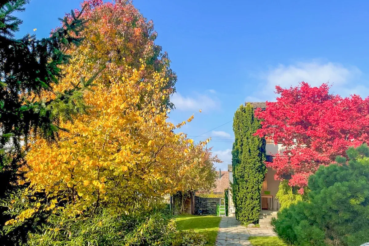 Schafisheim for sale Single house Switzerland - cChic-immoHub your real estate portal