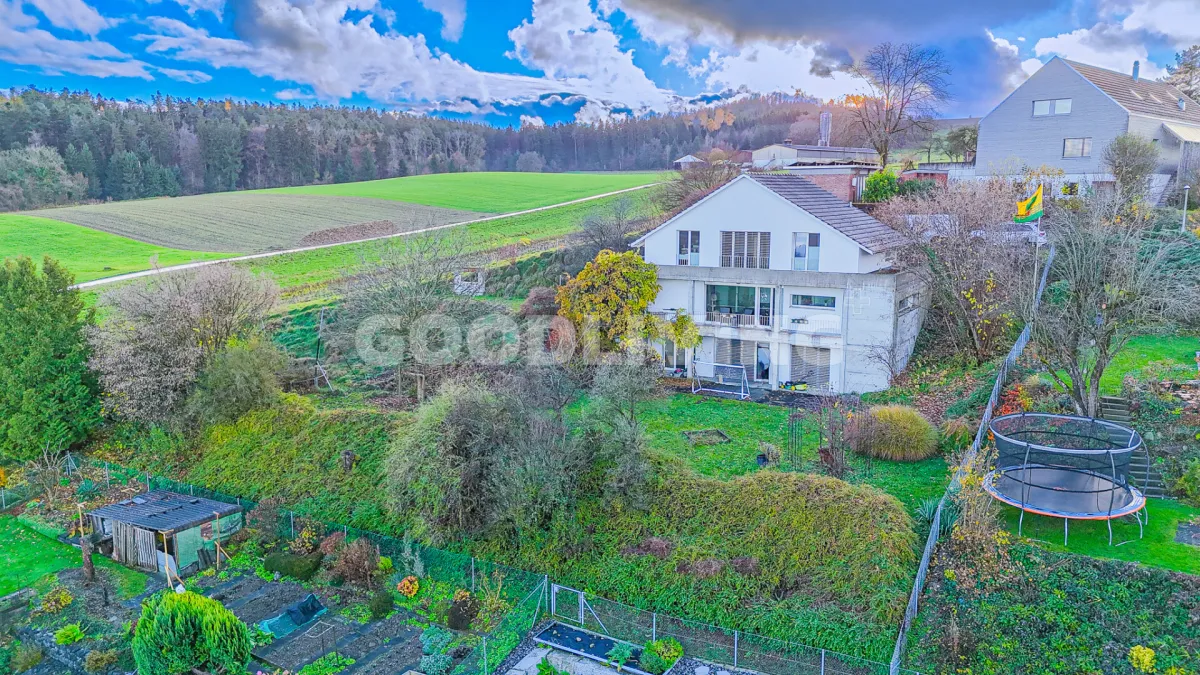 Hagenbuch ZH for sale Single house Switzerland - cChic-immoHub your real estate portal