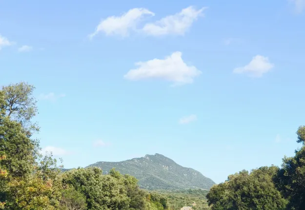 Haus zu verkaufen in Montpellier (3)