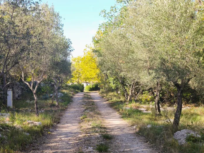 Haus zu verkaufen in Montpellier - Smart Propylaia (4)