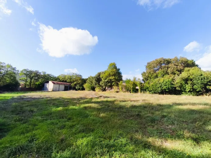 Haus zu verkaufen in Montpellier - Smart Propylaia (7)