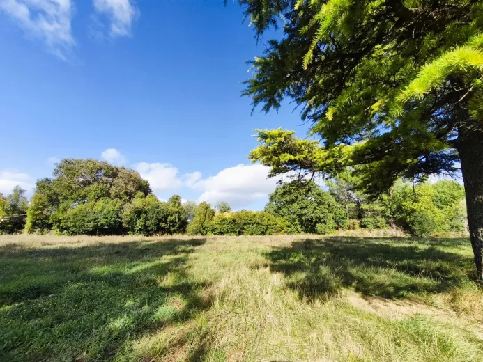 Haus zu verkaufen in Montpellier - Smart Propylaia (8)