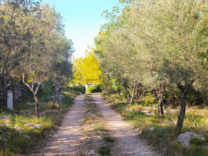 Haus zu verkaufen in Montpellier - Einfamilienhaus zu verkaufen in Montpellier, 248 m2 - Smart Propylaia (24)