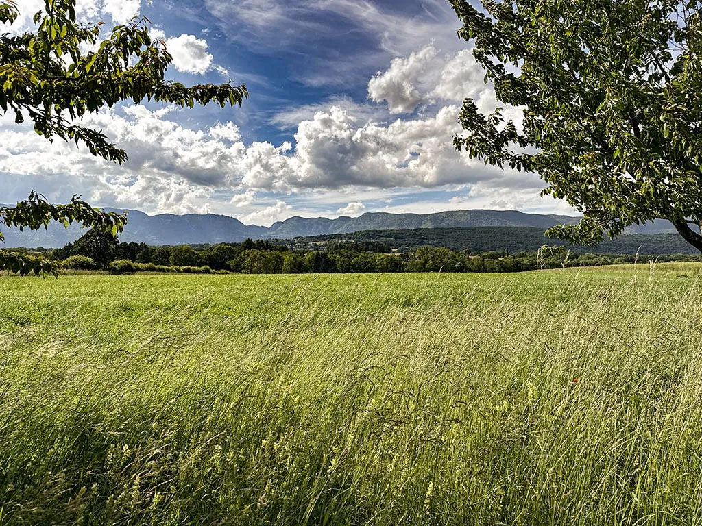 Chavannes-des-Bois zu verkaufen Villa Schweiz - cChic-immoHub Ihr Immobilienportal