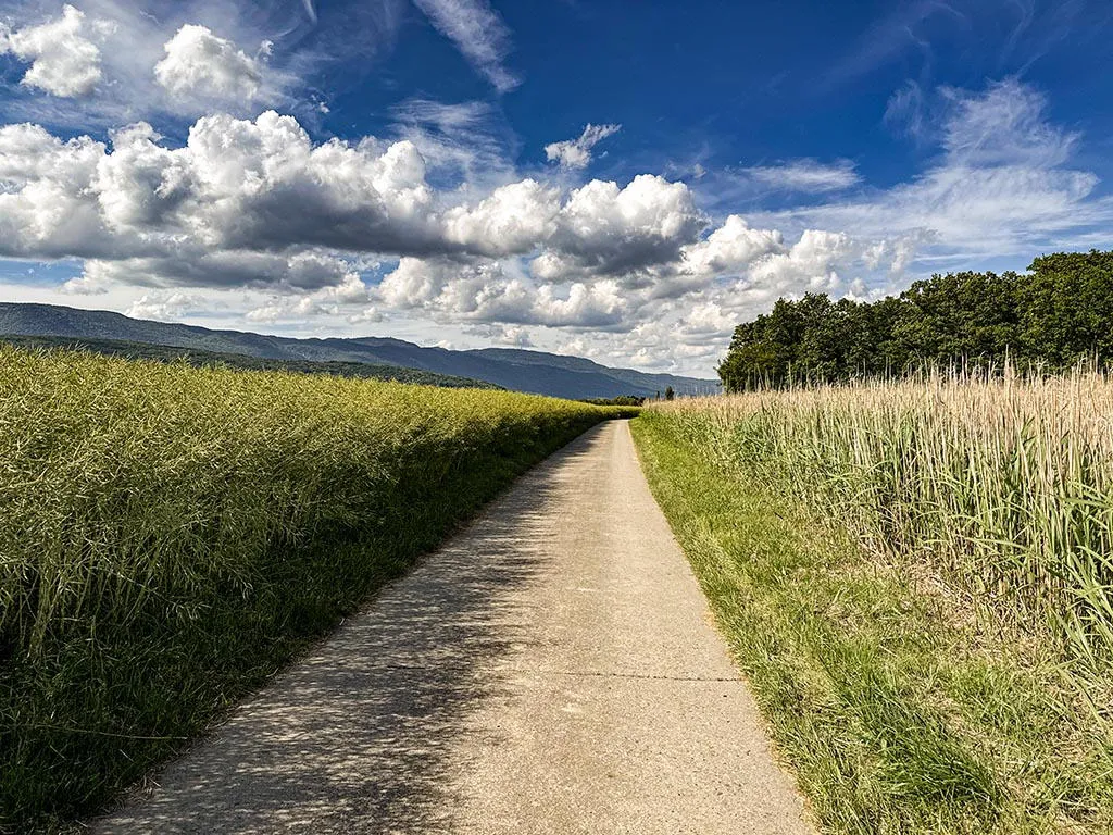 Chavannes-des-Bois zu verkaufen Villa Schweiz - cChic-immoHub Ihr Immobilienportal