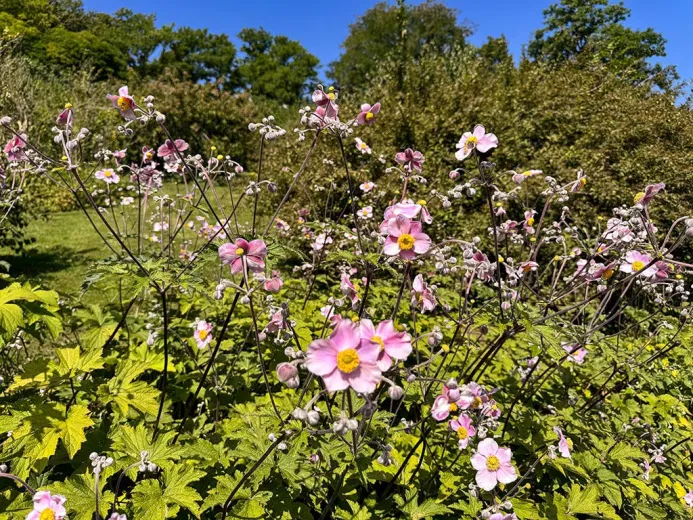 For sale Villa Le Mont-sur-Lausanne Switzerland - cChic-immoHub your real estate portal