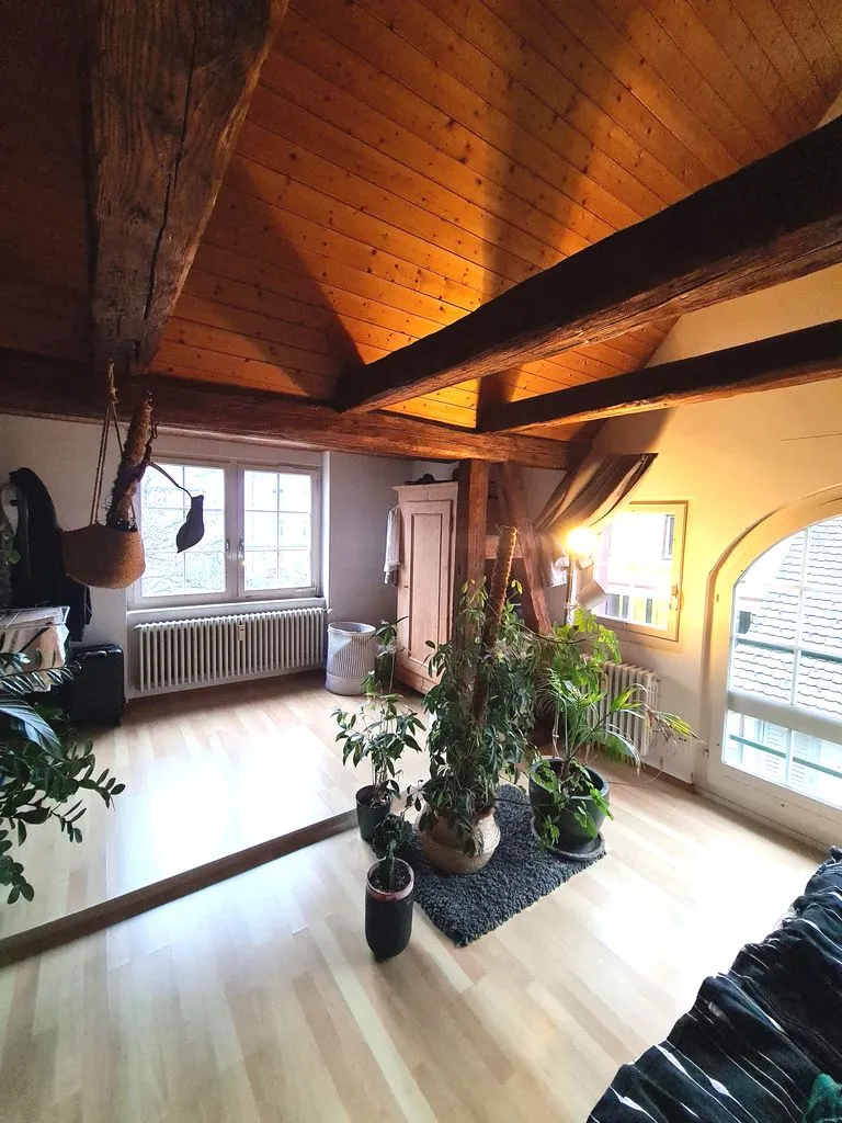 Weinfelden zu verkaufen  Dachwohnung Schweiz - cChic-immoHub Ihr Immobilienportal