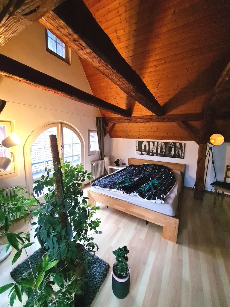 Weinfelden zu verkaufen  Dachwohnung Schweiz - cChic-immoHub Ihr Immobilienportal