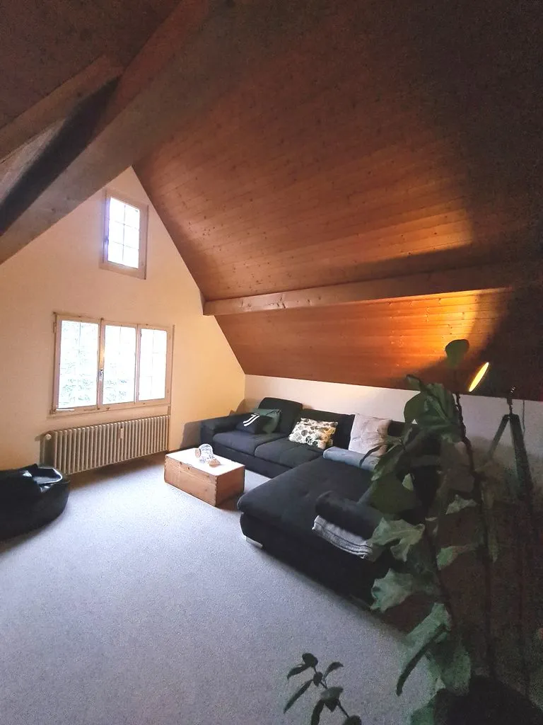 Weinfelden zu verkaufen  Dachwohnung Schweiz - cChic-immoHub Ihr Immobilienportal