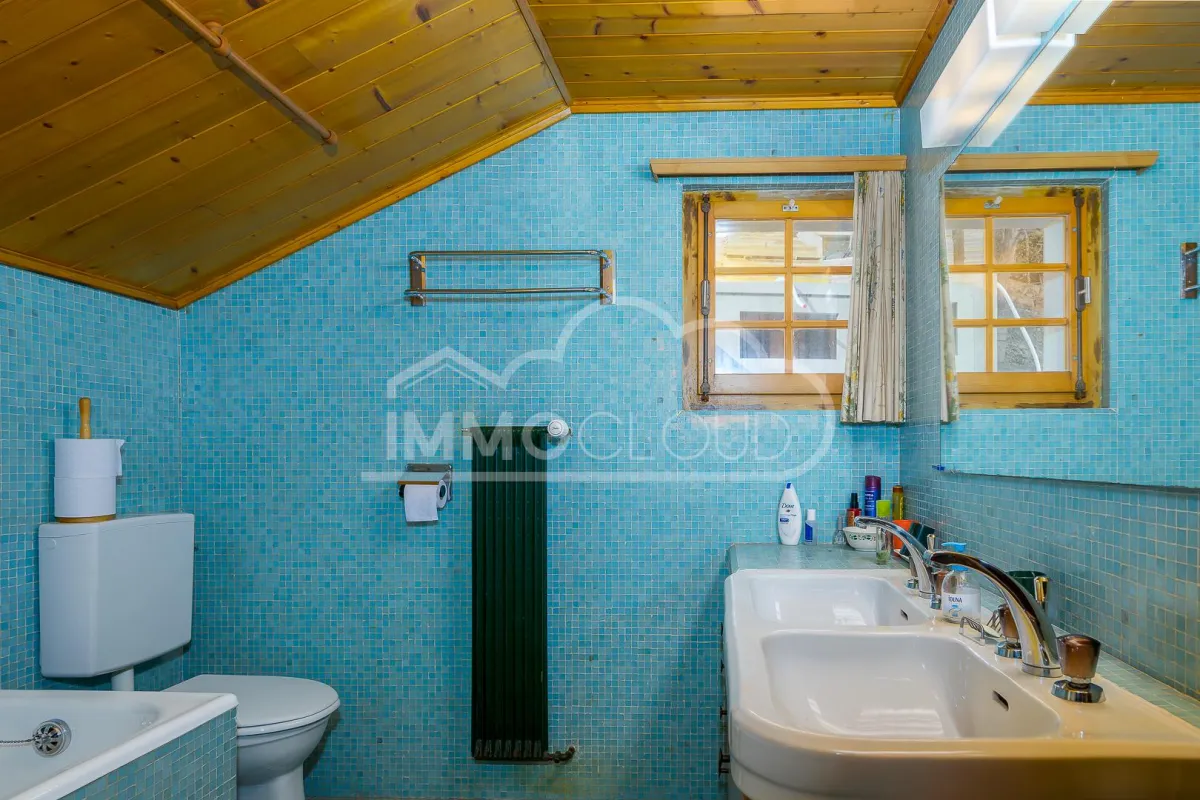 Verbier for sale Single house Switzerland - cChic-immoHub your real estate portal