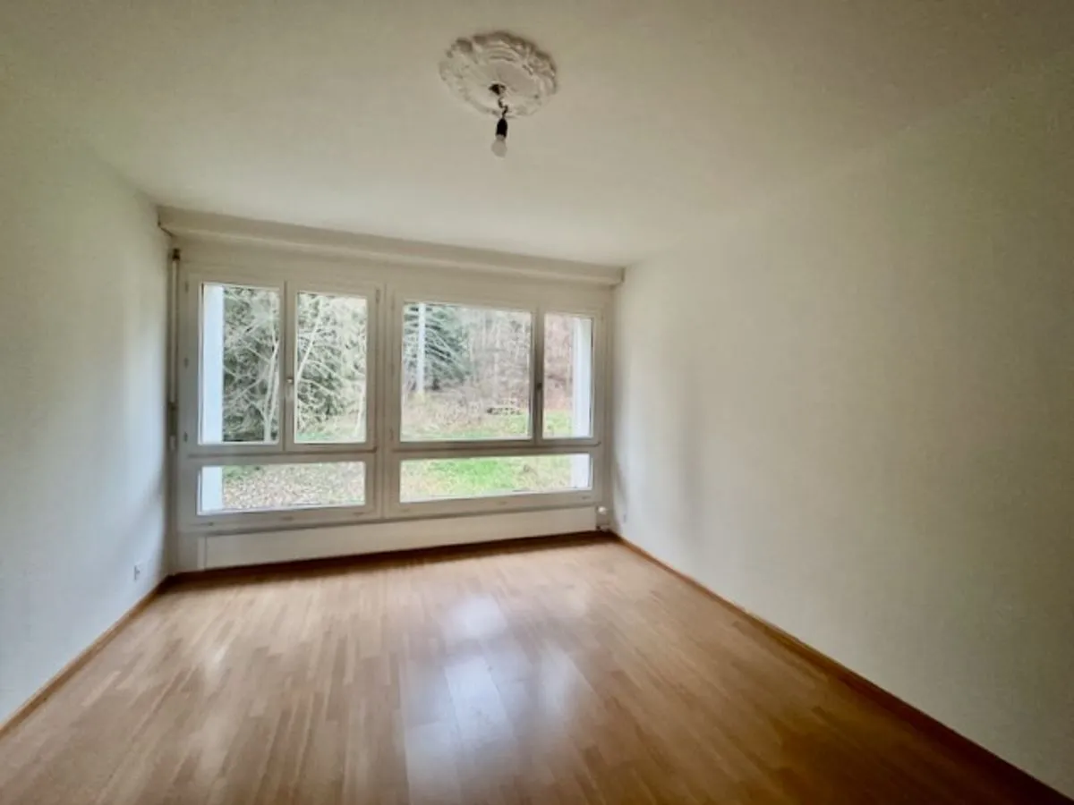 Les Hauts-Geneveys à vendre Appartement Suisse - cChic-immoHub votre portail immobilier