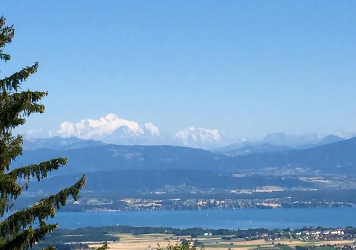 Arzier-Le Muids à vendre Maison individuelle Suisse - cChic-immoHub votre portail immobilier