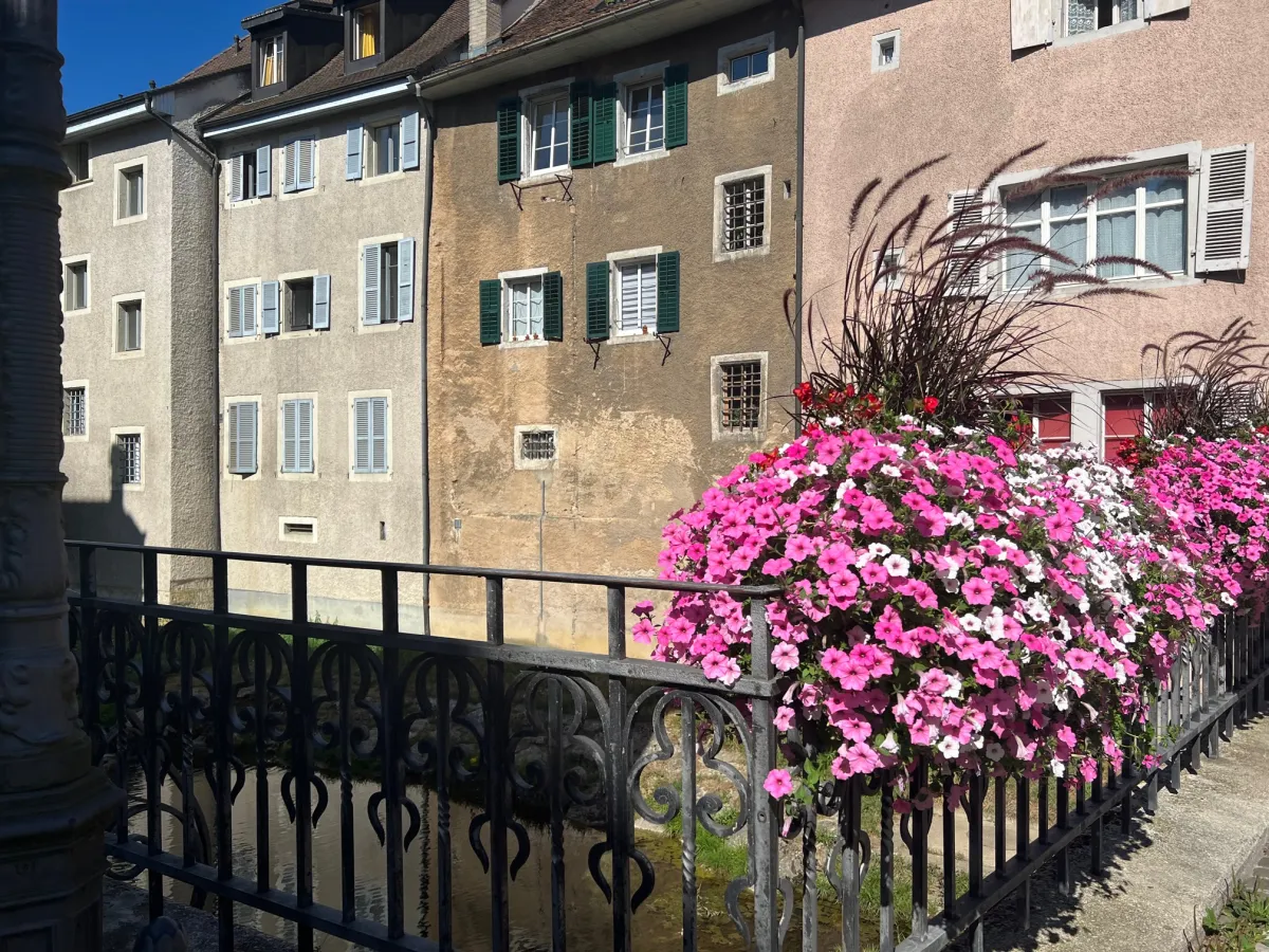 Porrentruy in affito Appartamento ammobiliato Svizzera - 
cChic-immoHub Il vostro portale immobiliare